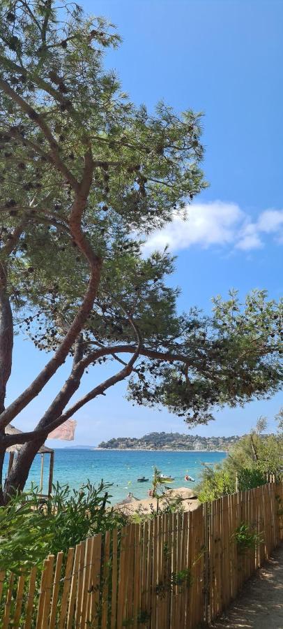 Le Tamaya Plage: Charming Garden Apartment Steps from Beach Cavalaire-sur-Mer Exterior photo